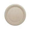 100% Compostable Plates by World Centric, Made from Ubleached Plant Fiber, 9" Plates (Pack of 1000) view 1