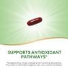Nature's Way Resveratrol-Forte, Protects from Free Radicals*, 60 Softgels view 3