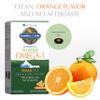 Garden of Life Minami Algae Omega 3 Vegan DHA for Brain and Eye Health - Orange Flavor, 500mg Plant Based DHA Omega-3 Vegan Algae Oil plus Astaxanthin, No aftertaste, 60 easy-to-swallow Mini Softgels view 4