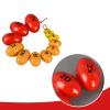 Wooden Prader Orchidometer, Prader Balls, Endocrine Rosary for Measuring Testis Scale in Clinic/Hospital for Endocrinologist and Pediatrician view 4