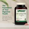 Standard Process - Whole Food Fiber - Daily Fiber Supplement for Digestive Health & Gut Support - High Fiber Powder with Soluble & Insoluble Fiber - Non-Dairy, Non-Soy & Gluten-Free - 7 oz (210 g) view 3