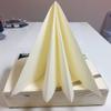 PAPSTAR Ivory Linen-Feel Large Square Napkins Dinner Size 3-Ply 50 Count | Decorative Disposable Colored Dinner Paper Napkins 16 x 16 Inch - Made In Germany view 2