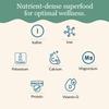Maine Coast Sea Vegetables Kelp Granules Blend | Organic Seaweed Snacks | Sustainably Harvested | Low Sodium Salt Alternative | Rich in Iodine & Minerals | Ideal for Soups, Salad | 1.5 oz (Pack of 1) view 4
