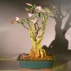 Bonsai Boy's Flowering Desert Rose Bonsai Tree Adenium Obesum view 1