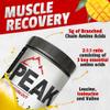 Kodiak Supplements Peak Post Workout - BCAA 2:1:1 Creatine - Glutamine - Muscle Recovery and Strength Building Supplement - 30 Servings - Tropical Mango view 3