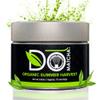 DoMatcha, Organic Summer Harvest Matcha Powder, Authentic Japanese Green Tea, Latte Grade, 2.82 oz view 1