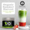DoMatcha, Organic Summer Harvest Matcha Powder, Authentic Japanese Green Tea, Latte Grade, 2.82 oz view 2