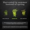 DoMatcha, Organic Summer Harvest Matcha Powder, Authentic Japanese Green Tea, Latte Grade, 2.82 oz view 3