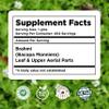 Herbsforever Brahmi Powder(Bacopa Monnieri) Leaves & Upper Aerial- Memory,Focus & Cognitive Function| Wild Harvested -Non GMO,Vegan- 2X Potency | Ultra Clean|NO Sand & Mud| Steam Sterilized|16oz-1LBS view 4
