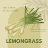 GreenHealth Lemongrass Essential Oil  16 fl oz (473 ml)  100% Pure & Uncut | Amber Glass Bottle for Aromatherapy, Cleaning, Candle Making & DIY Use view 3