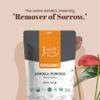 100% Organic Ashoka Bark Powder (Saraca Indica) 1/2 LB, 08 oz, 227g USDA Certified Organic- Biodegradable Resealable Zip Lock Pouch view 4
