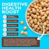 BIENA Chickpea Snacks - Crunchy Roasted Chickpeas - High Fiber Vegan Protein Snack for Adults & Kids - 6-Pack, 5 oz Bags - BBQ, Habanero, Honey Roasted, Lil' Bit of Everything, Sea Salt, Rockin' Ranch view 4