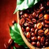 100% Jamaica Blue Mountain Coffee - 8 oz bag - whole beans view 3