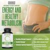 Zhou Nutrition Green Tea Extract Supplement - Green Tea & ECGC for Women & Men, Clean Caffeine Energy, Antioxidant Support, 500mg Per Serving - 120 Vegan Friendly Capsules view 3