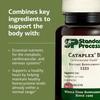 Standard Process Cataplex B - Nervous System & Heart Health Supplement - Contains B Vitamins for Energy Support - Supports Energy Metabolism - Non-Dairy & Non-Soy - 180 Tablets (90 Servings) view 4