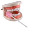 (50 Pack) Disposable Oral Swabs, Sterile Dental Sponge Swabsticks Unflavored for Mouth or Gum Cleaning view 4