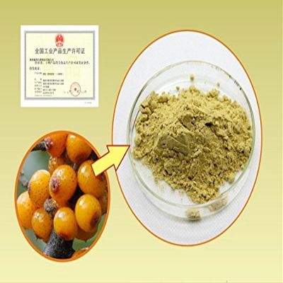 WonderLand Herbs Sea Buckthorn Extract Powder/Seaberry/Hippophae 500 Grams. Hi-Q MEGADOSE