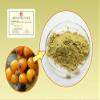 WonderLand Herbs Sea Buckthorn Extract Powder/Seaberry/Hippophae 500 Grams. Hi-Q MEGADOSE view 1