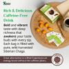 Sayan Siberian Chaga Mushroom Tea 1.05 Oz / 30g  20 Unbleached Bags, Wild Harvested Organic Antioxidant No Caffeine. Raw and Extract Blend. Immune, Digestion Support. Detox, Focus Energy Boost view 3