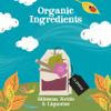 Clipper Organic Herbal Detox Tea - Organic, Caffeine Free Tea, 1 Pack, 20 Unbleached Tea Bags view 3