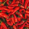 Pimenton de la Vera Picante DOP (Hot Smoked Paprika) Food Service Size view 3