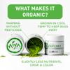 Aiya Organic Ceremonial Grade Matcha Powder - Premium Matcha Ceremonial Grade, Vibrant Jade Green Color, Mild Natural Sweetness, Japanese Tea Ceremonies - 30g Tin view 4