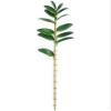 43" Dendrobium Orchid Leaf Plant with 13 Leaves Green (pack of 6) view 1