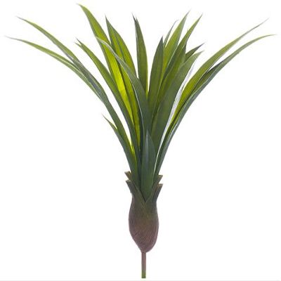 13" Cymbidium Orchid Leaf Plant Green (pack of 24)