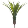 13" Cymbidium Orchid Leaf Plant Green (pack of 24) view 1