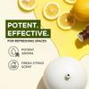 Gya Labs Lemon Essential Oil - 0.34 Fl Oz - for Hair, Skin, Diffuser, Aromatherapy & DIY Candle Making Scent view 3