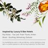 AromaTech White Tea and Thyme Aroma Essential Oil Blend: Luxury Hotel Inspired Aromatherapy with Tea Leaf, Fresh Thyme & Amber for Ultrasonic Diffusers (4 Fl Oz (Pack of 1)) view 2