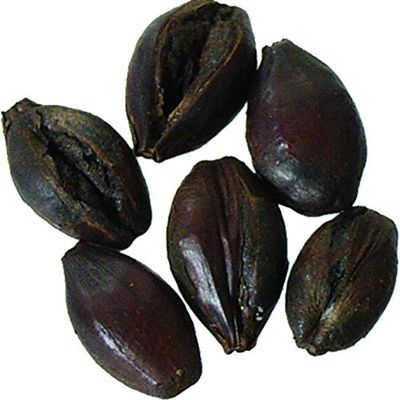 Malt - Black Roasted Barley - 1 lb