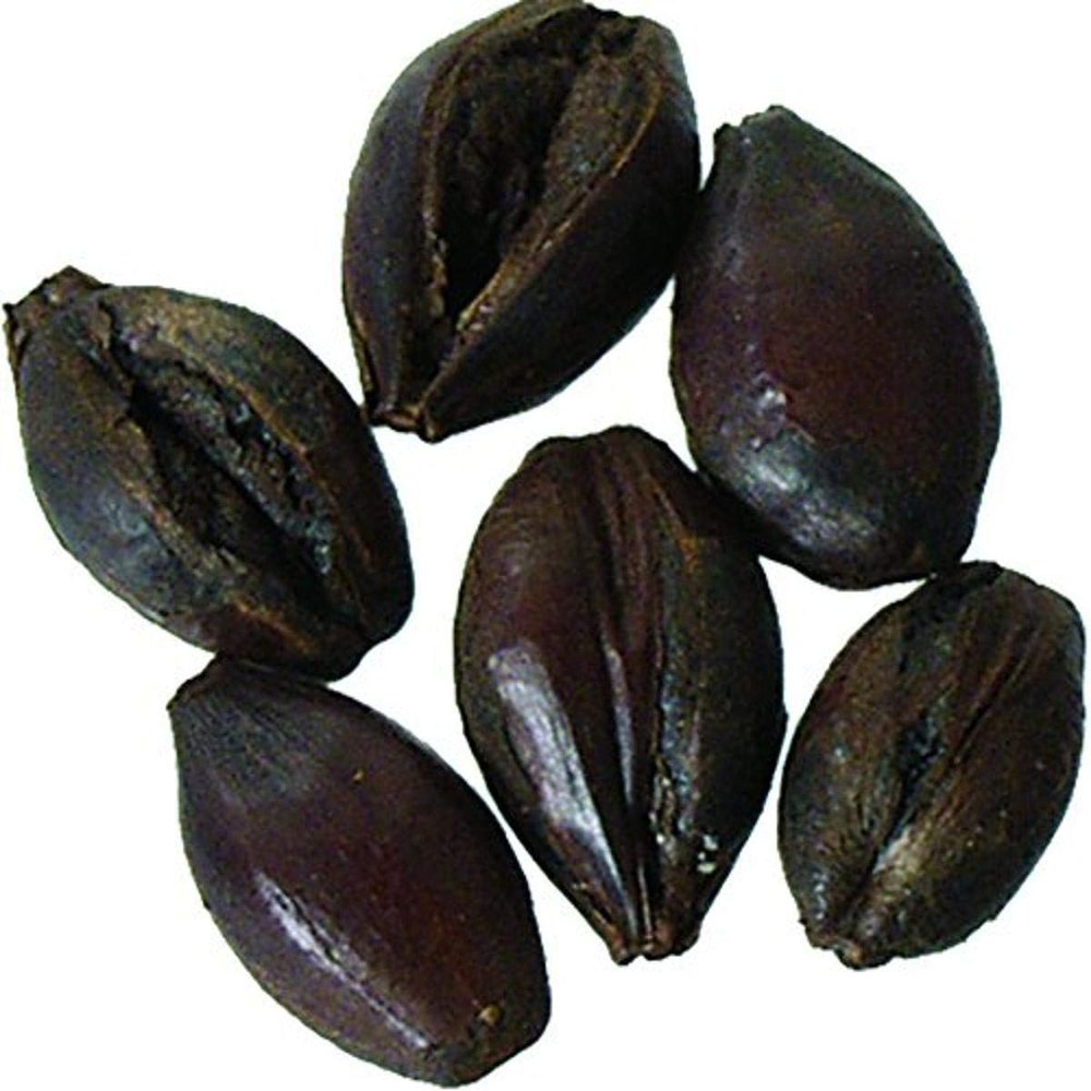 Malt - Black Roasted Barley - 1 lb