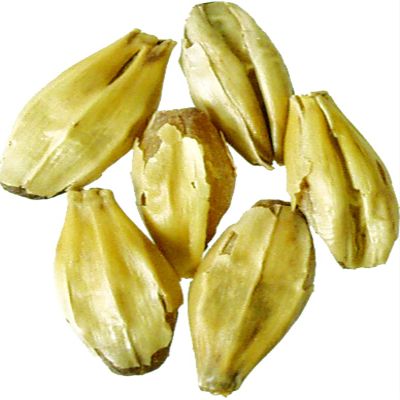 Malt - Carapils - 1 lb Milled