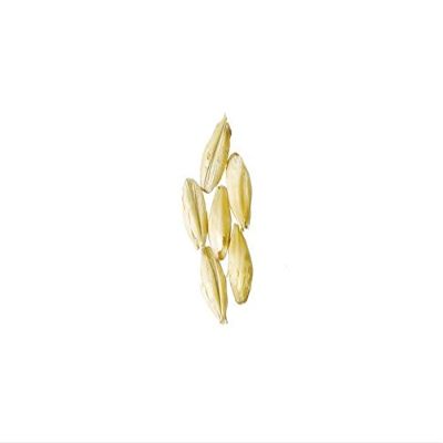 Brewmaster - GR301F Malt - Briess Brewers 2-Row - 10 lb