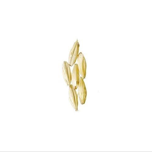 Brewmaster - GR301F Malt - Briess Brewers 2-Row - 10 lb