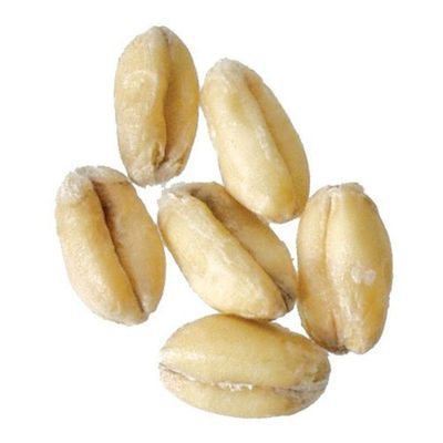 Brewmaster GR400C Malt - German Munich - 1 lb