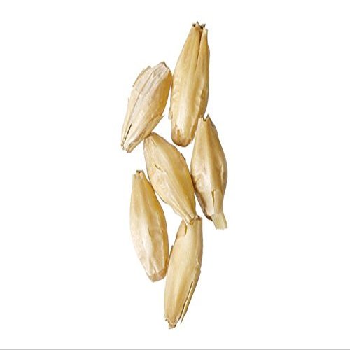 Brewmaster-GR300E Malt - 2-Row Pale - 5 lb