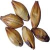 Brewmaster - GR573CM Malt - British Crystal 50/60L- 1 lb Milled view 1