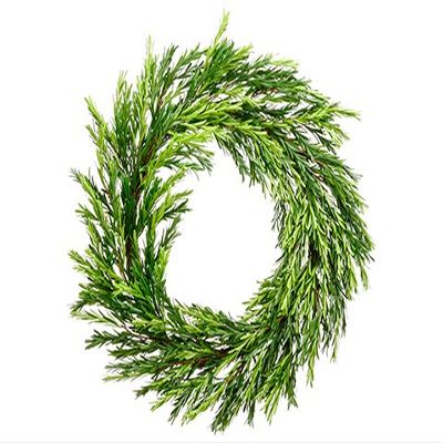 28" Apios Wreath Green (pack of 2)