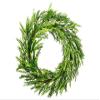28" Apios Wreath Green (pack of 2) view 1