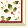1 X Joyful Poinsettia 3-Ply Beverage Napkins 16 Per Pack view 1