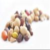Good Sense | Trail Mix | Cross 'N Country - Snack Mix - 8 Ounce Bags | Pack of 6 - (Packaging May Vary) view 4