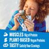 Lenny & Larry's Protein Cookie, [Chocolate Chip], Chewy Soft Baked, 16g Plant Protein, Vegan, Non-GMO, High Fiber, 4 Ounce Cookie (Pack of 12) view 3