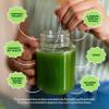 Amazing Grass Greens Blend Superfood: Super Greens Powder with Spirulina, Alfalfa, Beet Root Powder, Digestive Enzymes, Prebiotics & Probiotics, Original, 100 Servings (Packaging May Vary) view 4