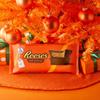 REESE'S Milk Chocolate Half-Pound Peanut Butter Cups, Candy Pack, 16 oz (2 Pieces) view 4