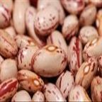 Beans, Pinto, Organic, 25# Bulk