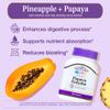 21st Century Papaya Enzyme Chewable (100 Count), Papaya & Pineapple Digestive Enzymes for Gut Health, Tropical Flavor, Non-GMO, Gluten-Free, No Added Salt, Artificial Flavors view 4