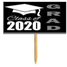 12pack Navy Graduation Party CUpcake Desert Appetizer Food Decoration Picks
