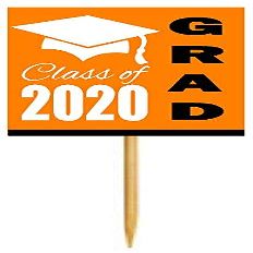 12pack Orange Graduation Party CUpcake Desert Appetizer Food Decoration Picks